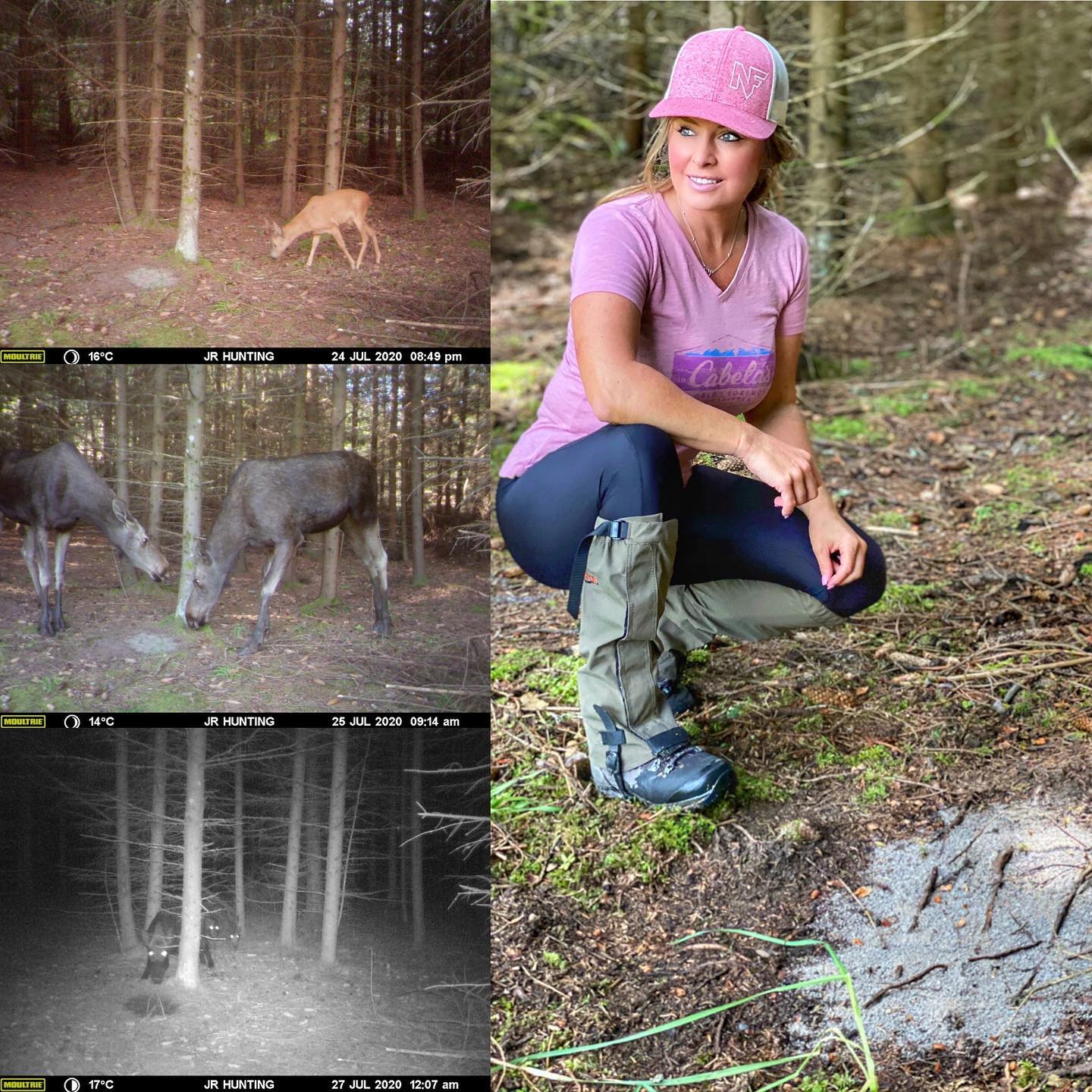 Sweden Roe Sweden Roe Deer Scouting – Kristy Titus
